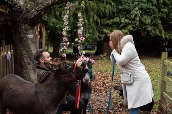 Huckleberry Proposal